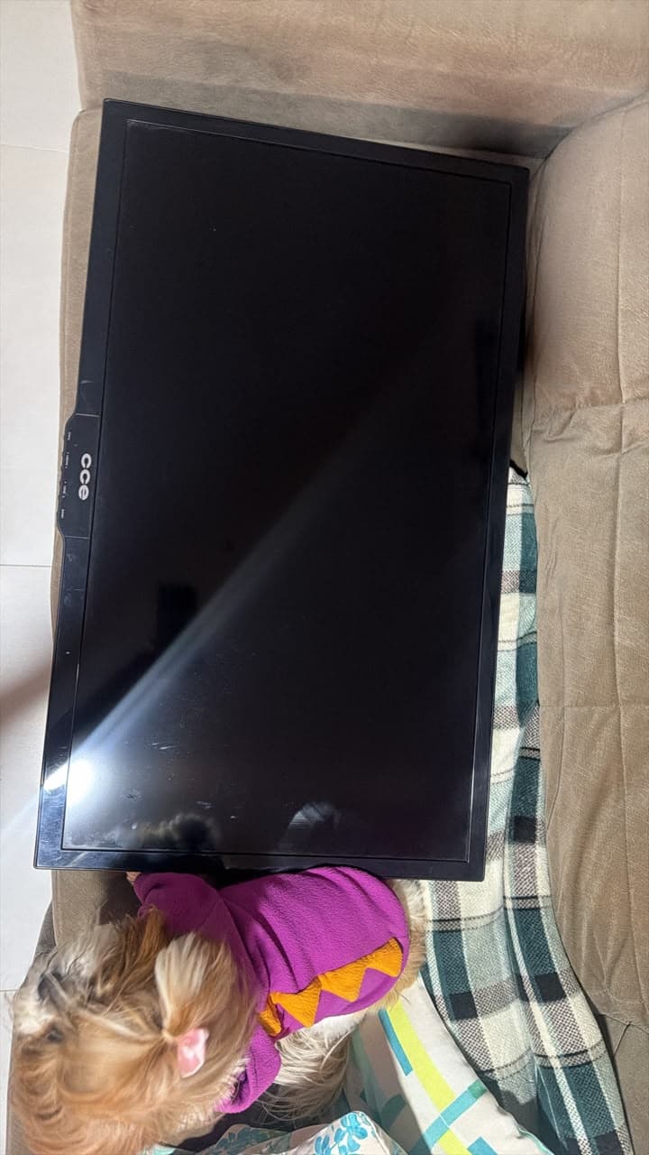 Estamos vendendo TV DIGITAL (não é smart), 32’’, marca CCE, perfeito estado, 500 reais.. quem quiser entrar em contato c