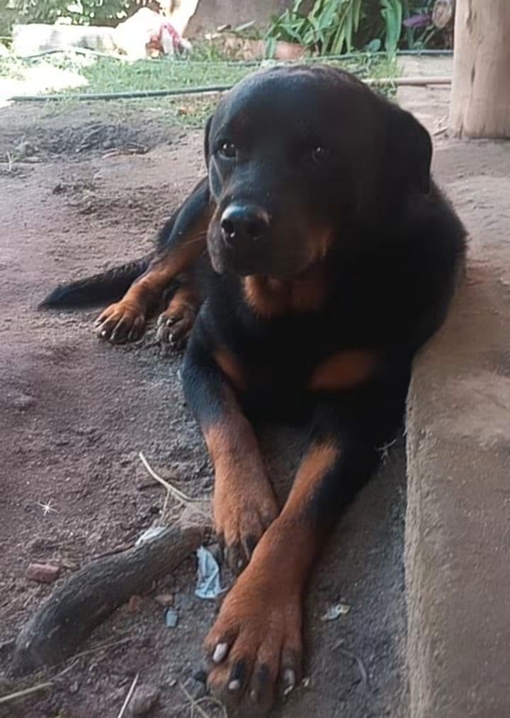 Doação