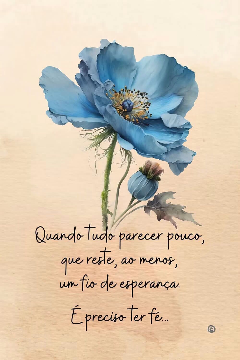 Boa noite!