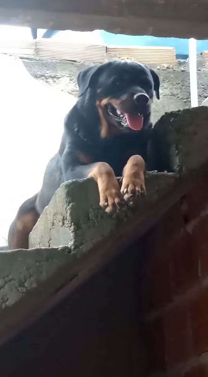 Doação