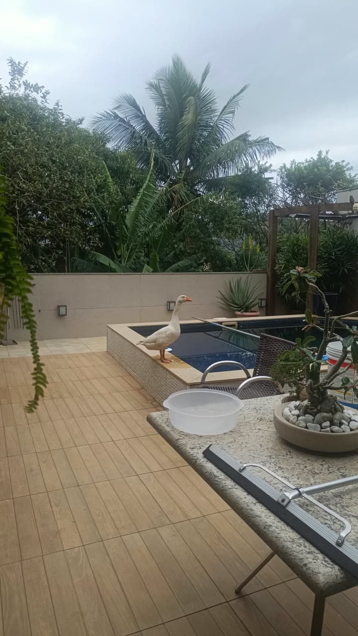 Bom dia!!
