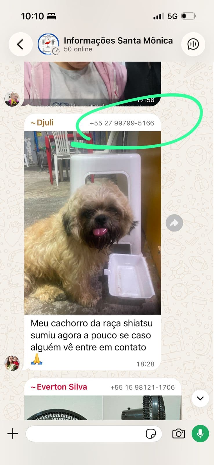 Registro do grupo no WhatsApp