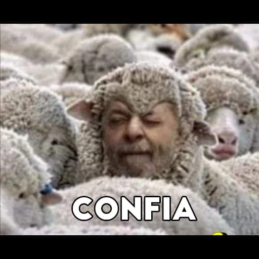 Registro do grupo no WhatsApp