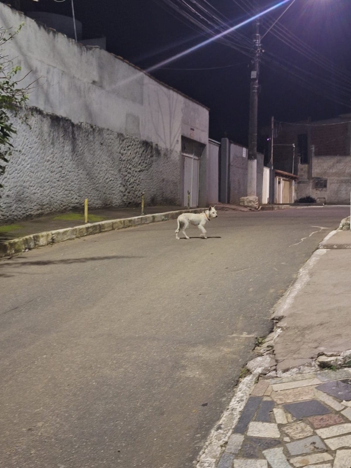 Está perdido